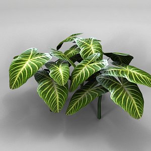 plant Low Poly