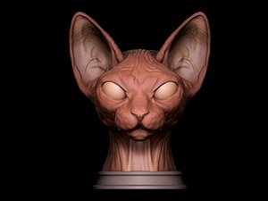 sphynx cat 3D model