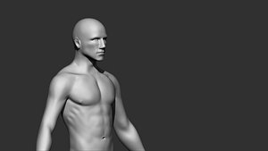 Male Body 3d print