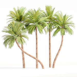 Low Poly Palm Trees Collection Vol 280-3dmodel 3D model