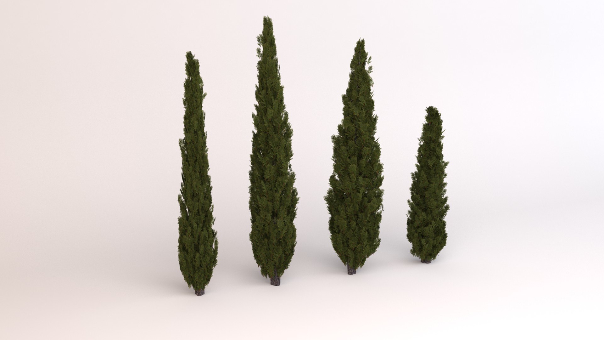 3d italian cypress tree model https://p.turbosquid.com/ts-thumb/Q0/YA343U/M10VJk1x/xx0000/jpg/1605594651/1920x1080/fit_q87/3958f0bbebd523e8f5d95a2e86215cae2ead3ff6/xx0000.jpg