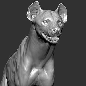 hyena crocuta 3D model