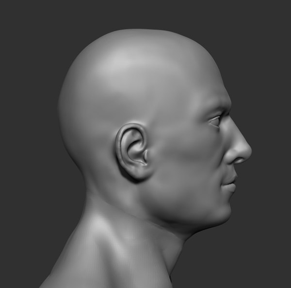 3D human anatomy base sculpture model - TurboSquid 1517277