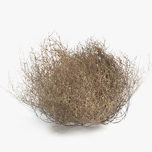 Low Poly Tumbleweed
