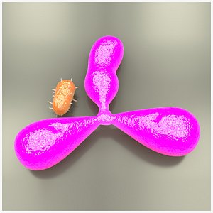 Antigen and Bacteria 3D