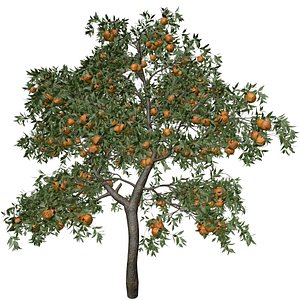 3D Orange Tree - 10 -