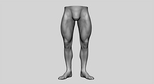 body leg 3D