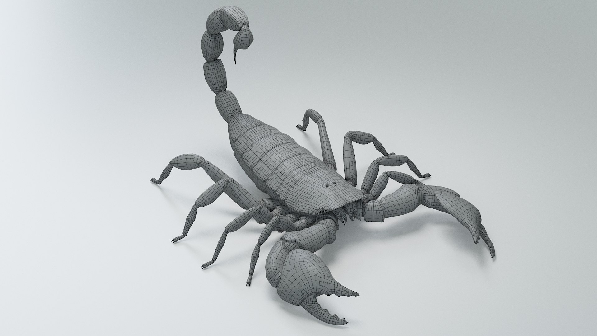 Black Emperor Scorpion 3D model https://p.turbosquid.com/ts-thumb/Q1/MiK3V2/2L/black_emperor_28/jpg/1708418279/1920x1080/fit_q87/2ba181eedc628519ab5bfd1a10032987e5c43488/black_emperor_28.jpg