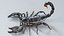 Black Emperor Scorpion