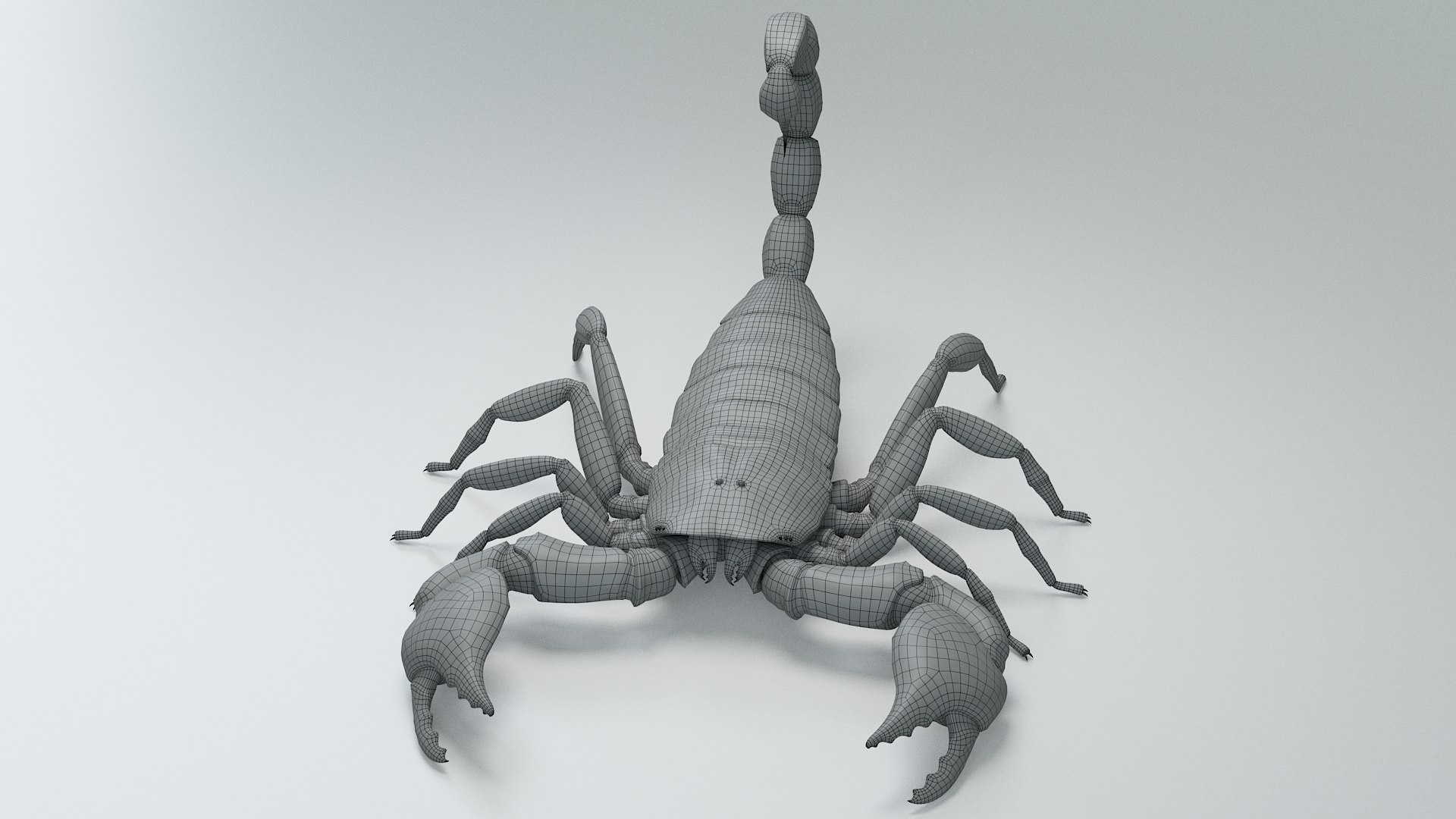 Black Emperor Scorpion 3D model https://p.turbosquid.com/ts-thumb/Q1/MiK3V2/58/black_emperor_27/jpg/1708418276/1920x1080/fit_q87/ae70134c4748eabcce73b6d1baa355e86ee0bad2/black_emperor_27.jpg