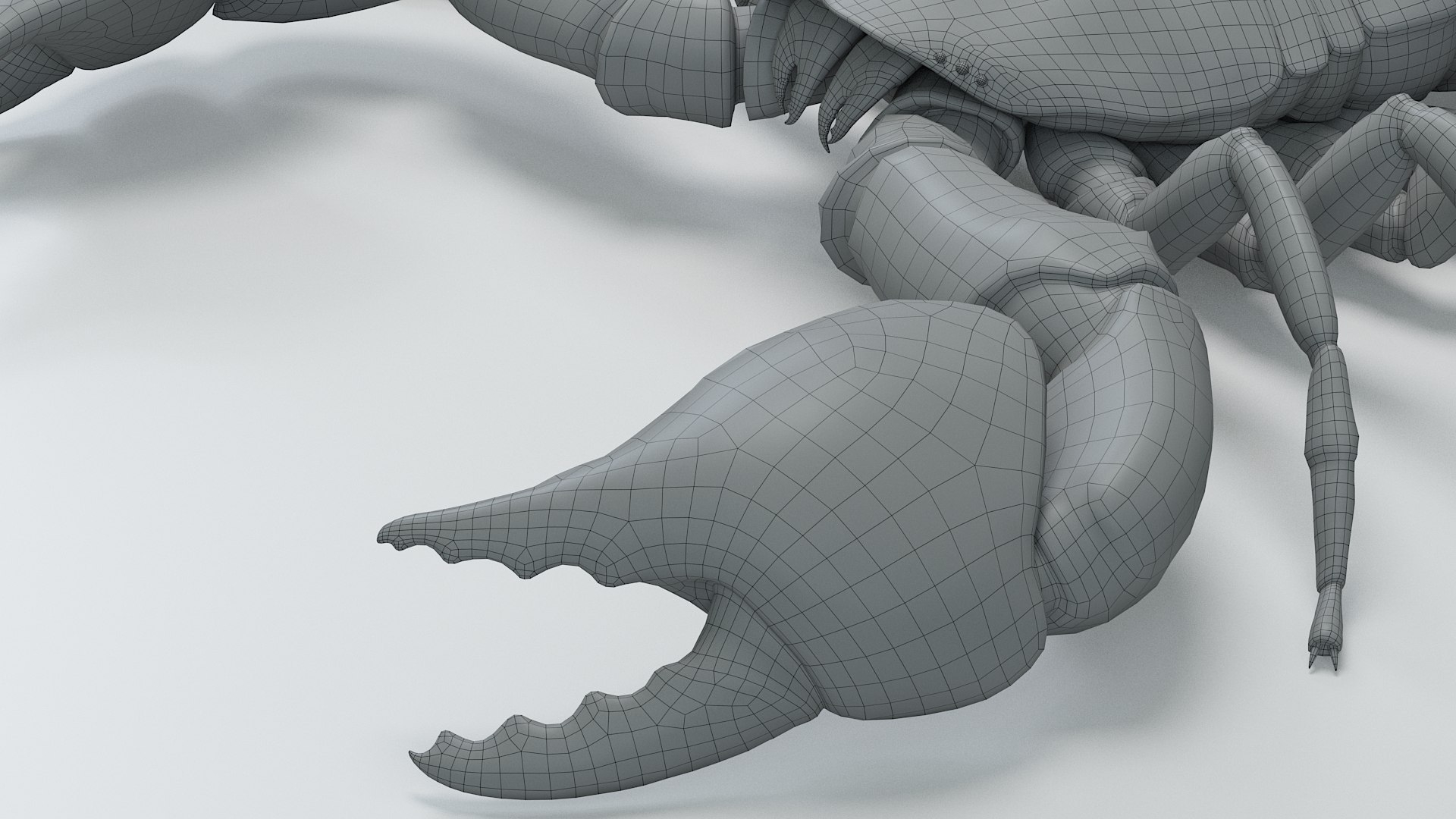 Black Emperor Scorpion 3D model https://p.turbosquid.com/ts-thumb/Q1/MiK3V2/5p/black_emperor_35/jpg/1708418315/1920x1080/fit_q87/4256bbccc693b43c4142e8c900eaa2a4e684f18f/black_emperor_35.jpg