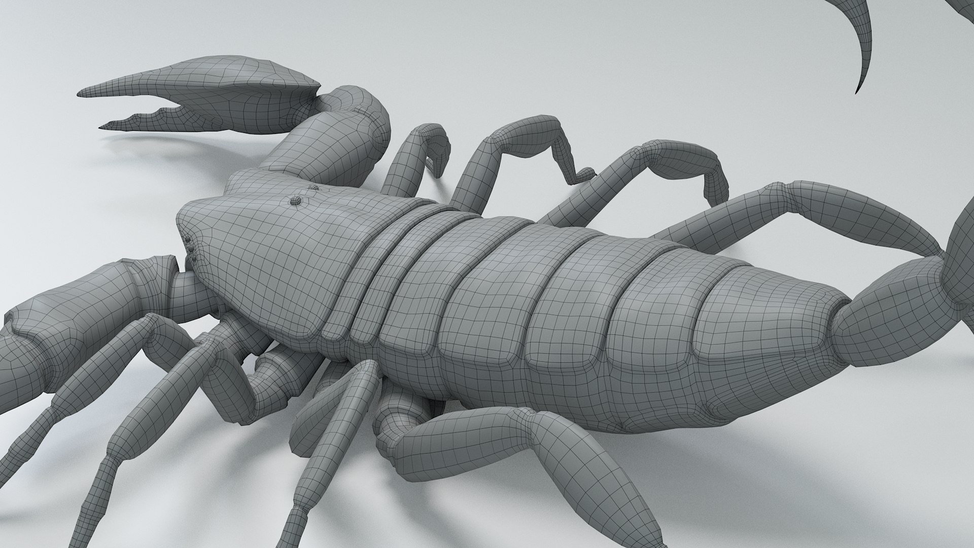 Black Emperor Scorpion 3D model https://p.turbosquid.com/ts-thumb/Q1/MiK3V2/6C/black_emperor_34/jpg/1708418307/1920x1080/fit_q87/4c33a2bec9cc3d81b1eb021704be334c7afd6dfe/black_emperor_34.jpg