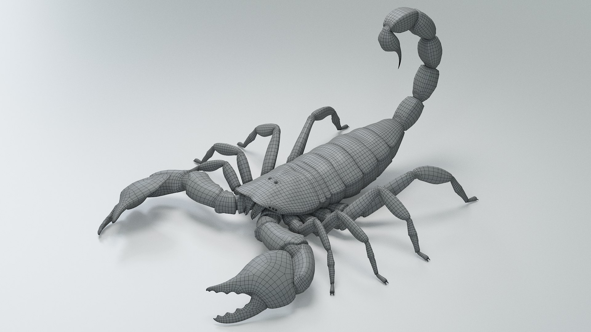 Black Emperor Scorpion 3D model https://p.turbosquid.com/ts-thumb/Q1/MiK3V2/6X/black_emperor_26/jpg/1708418277/1920x1080/fit_q87/ba03efd2ae63d910881c5e45e686fee426bcad55/black_emperor_26.jpg