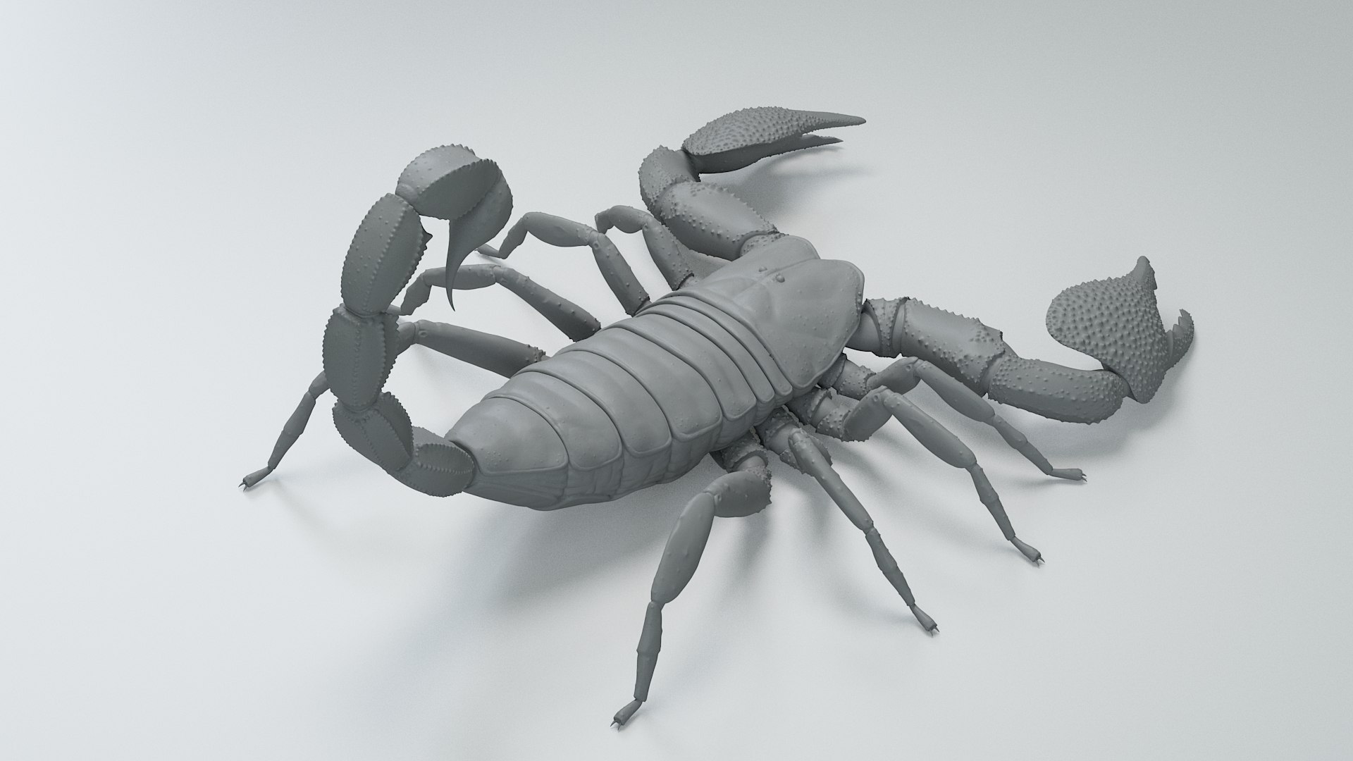 Black Emperor Scorpion 3D model https://p.turbosquid.com/ts-thumb/Q1/MiK3V2/Jp/black_emperor_19/jpg/1708418245/1920x1080/fit_q87/0d847e36e4888a1dfc2e8a43850c9a875e41da25/black_emperor_19.jpg