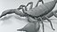 Black Emperor Scorpion