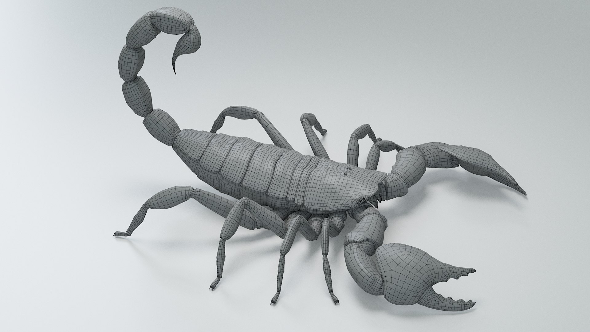 Black Emperor Scorpion 3D model https://p.turbosquid.com/ts-thumb/Q1/MiK3V2/XW/black_emperor_29/jpg/1708418288/1920x1080/fit_q87/2bc178a13704e1d160bc66886252b5dc3091f2ca/black_emperor_29.jpg
