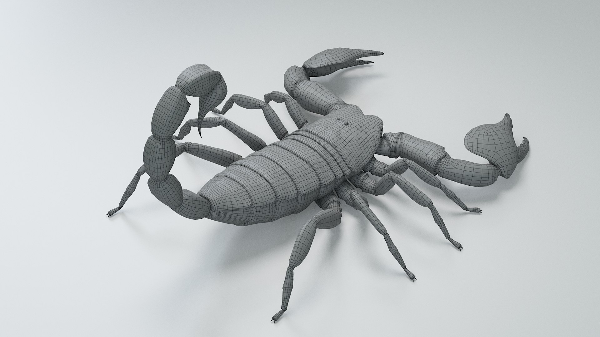 Black Emperor Scorpion 3D model https://p.turbosquid.com/ts-thumb/Q1/MiK3V2/Xu/black_emperor_30/jpg/1708418288/1920x1080/fit_q87/ec1cd664c49a83fcf47b89e31830c213b3e6760c/black_emperor_30.jpg
