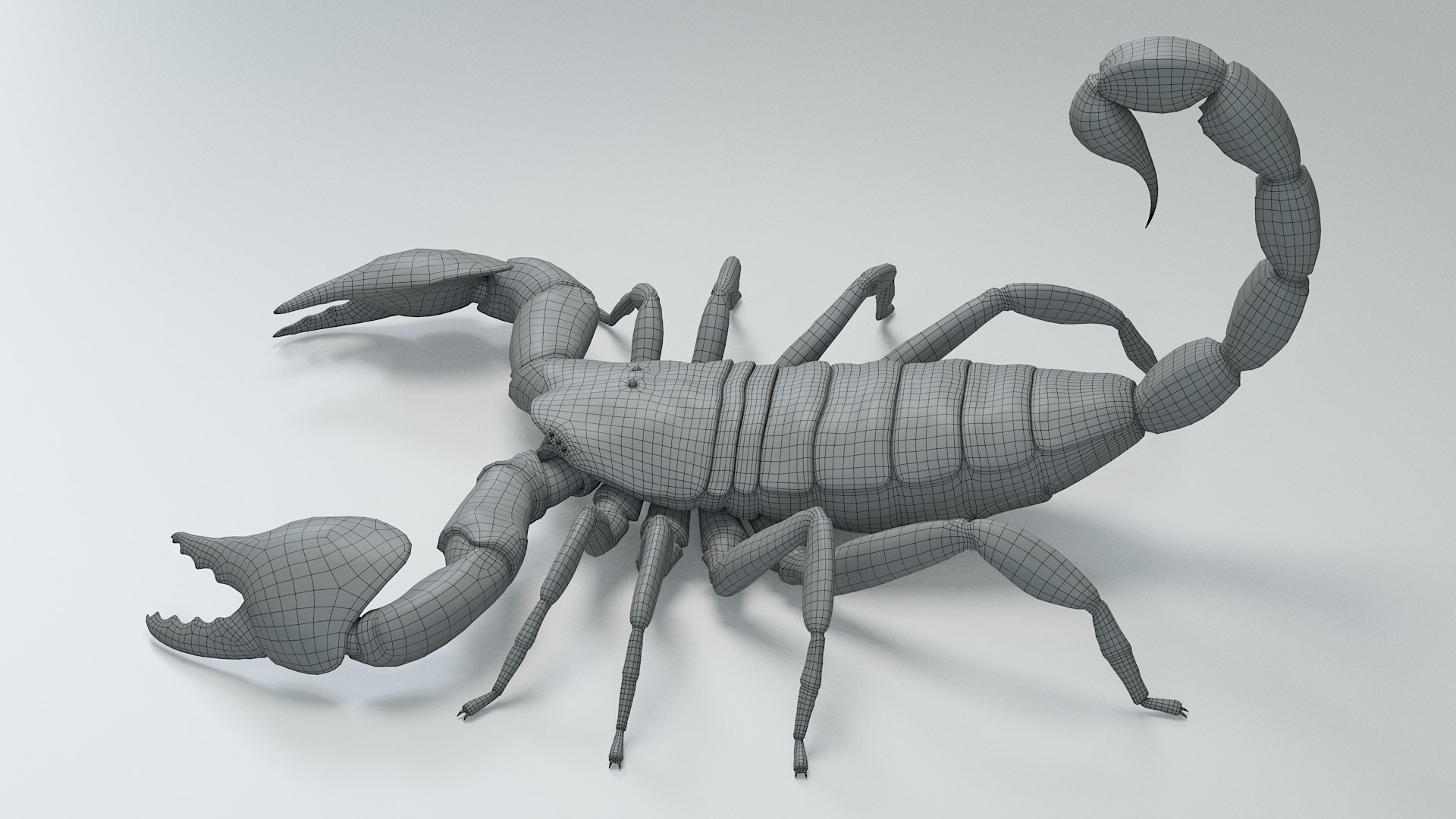 Black Emperor Scorpion 3D model https://p.turbosquid.com/ts-thumb/Q1/MiK3V2/Ye/black_emperor_32/jpg/1708418302/1920x1080/fit_q87/79a5eb5f5139ebea2839e1c644c9ec123bbb05d7/black_emperor_32.jpg