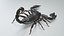 Black Emperor Scorpion