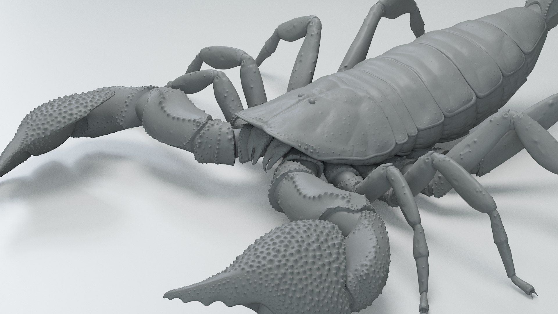Black Emperor Scorpion 3D model https://p.turbosquid.com/ts-thumb/Q1/MiK3V2/jF/black_emperor_22/jpg/1708418259/1920x1080/fit_q87/7eb816b55e386e99010eb95c78b7a6f145220b05/black_emperor_22.jpg