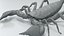 Black Emperor Scorpion