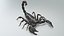 Black Emperor Scorpion