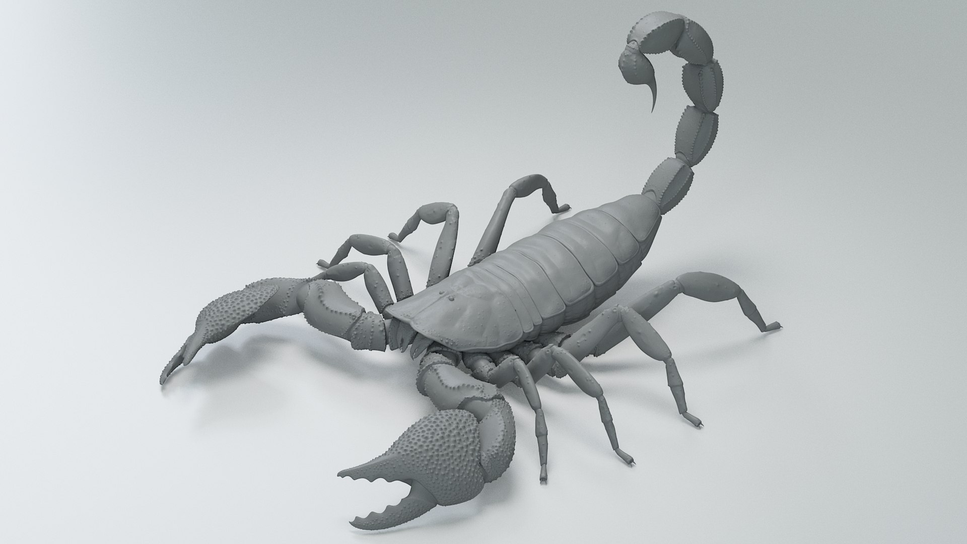 Black Emperor Scorpion 3D model https://p.turbosquid.com/ts-thumb/Q1/MiK3V2/sF/black_emperor_15/jpg/1708418230/1920x1080/fit_q87/29753dc9bdbb37148f843e6532ad3928e6feae9a/black_emperor_15.jpg