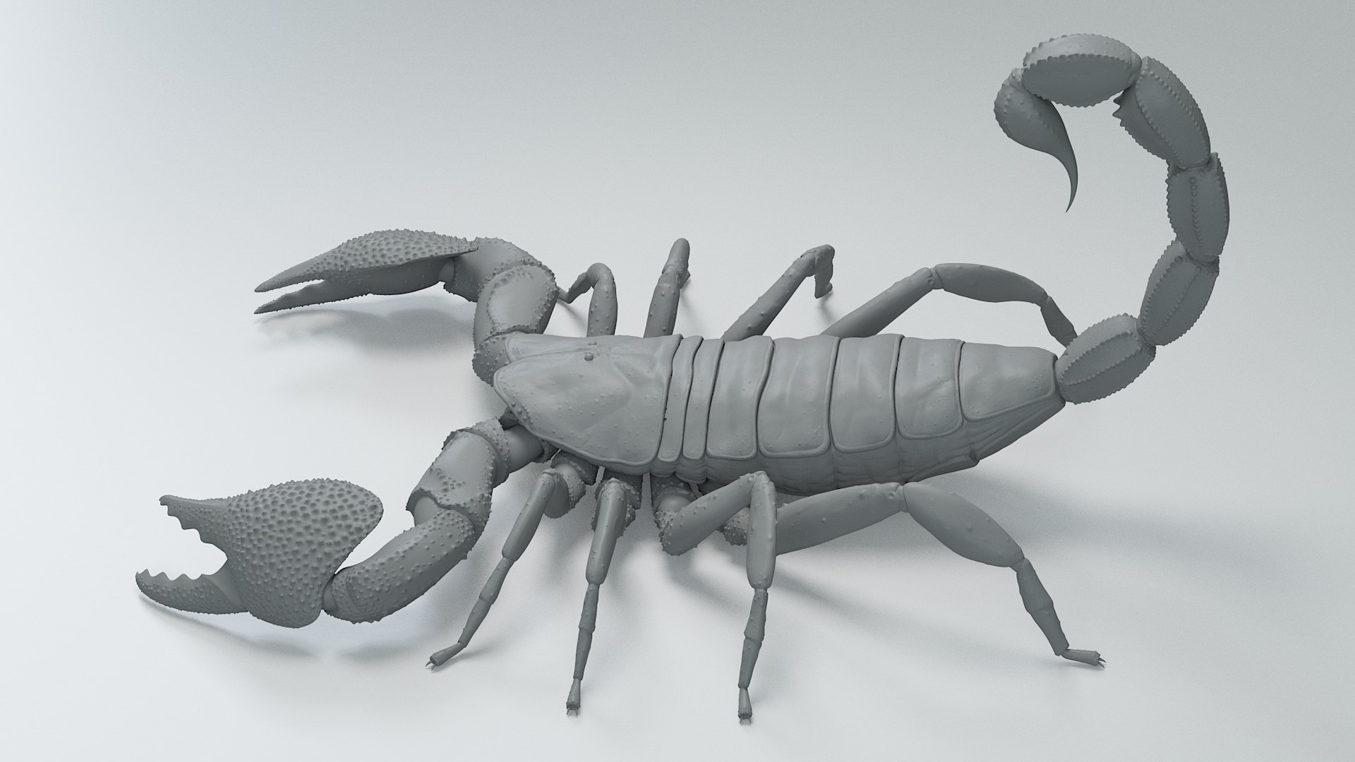 Black Emperor Scorpion 3D model https://p.turbosquid.com/ts-thumb/Q1/MiK3V2/w9/black_emperor_21/jpg/1708418253/1920x1080/fit_q87/e5a8271bdccf29a5281edec4cf3d1cc91ab42ec1/black_emperor_21.jpg