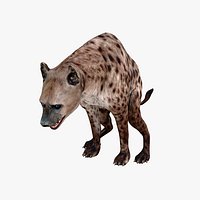 HYENA