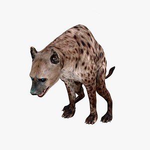 HYENA