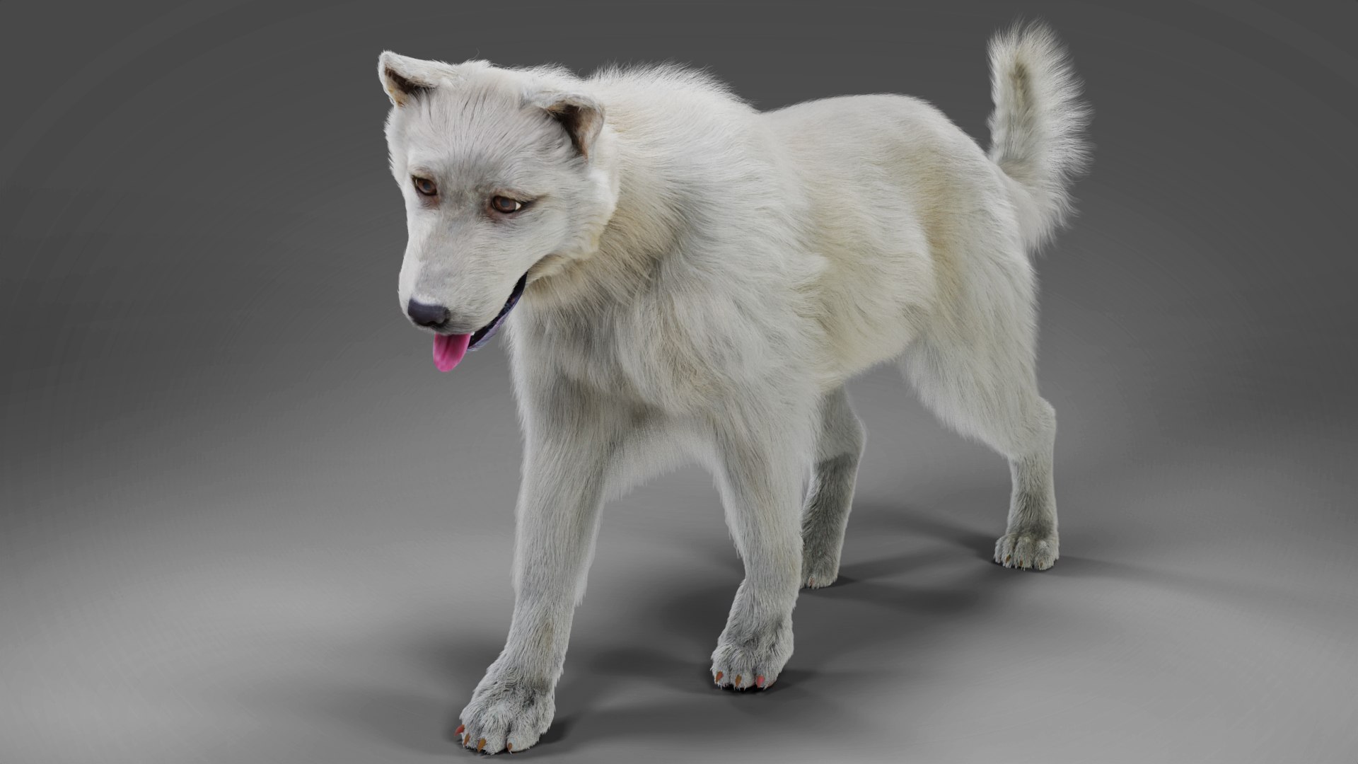 Fur White Dog Rigged 3D Model TurboSquid 1922182