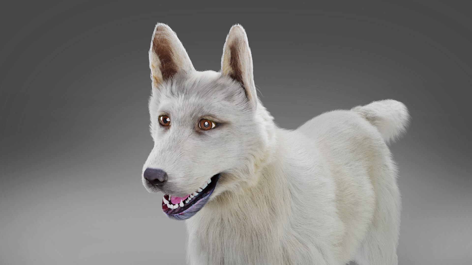 Fur White Dog Rigged 3D Model TurboSquid 1922182