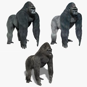 obj gorillas fur