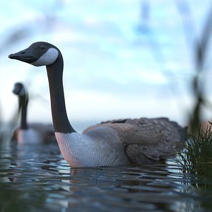 3D Waterfowl Goose Animated Rigged For Blender model