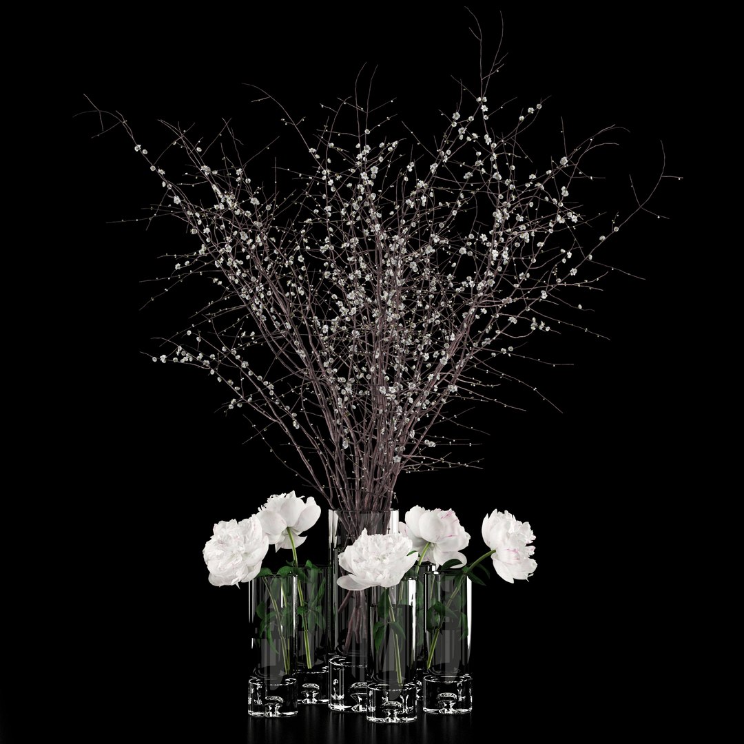 3D realistic white peonies prunus model https://p.turbosquid.com/ts-thumb/Q1/wHIXmr/3Px81ERM/1/jpg/1533721655/1920x1080/fit_q87/258fa839dd13dcf1a38024bd6532b754dbc2915d/1.jpg