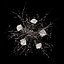 White prunus and peonies