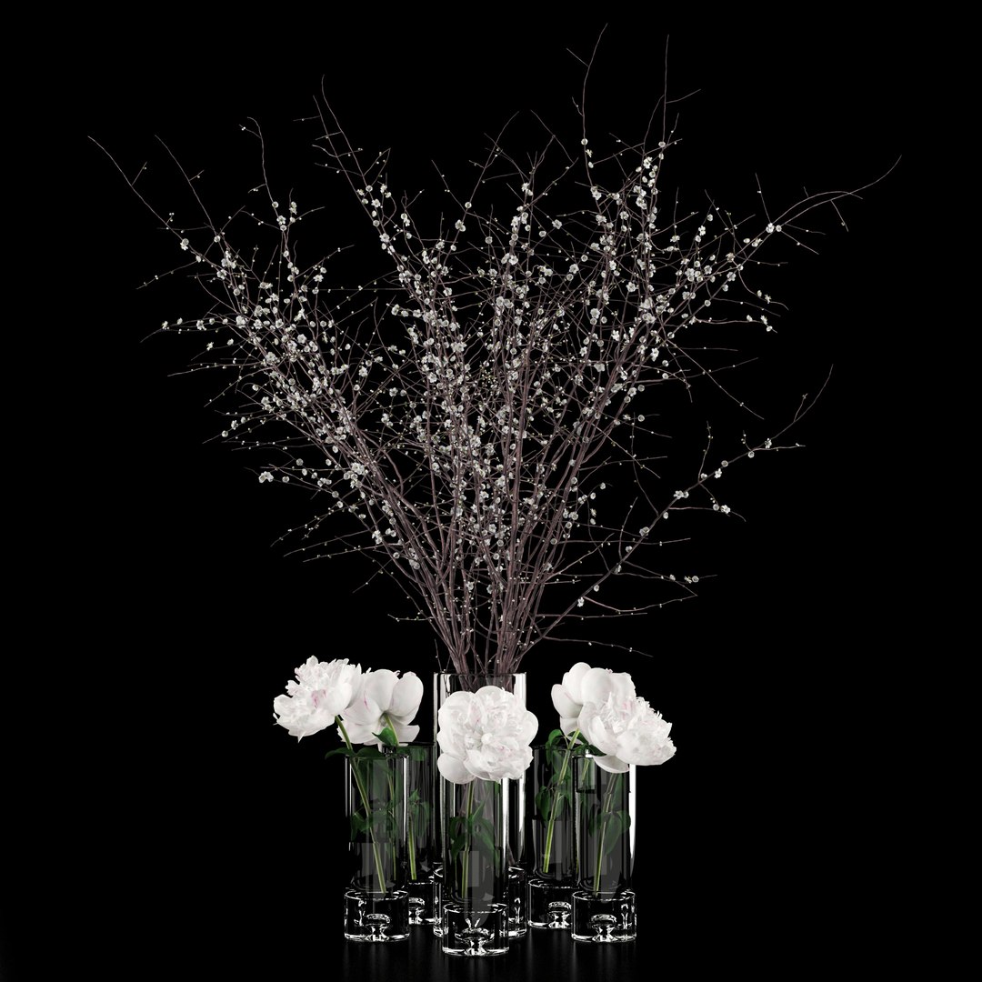 3D realistic white peonies prunus model https://p.turbosquid.com/ts-thumb/Q1/wHIXmr/7iCrHSY9/2/jpg/1533721849/1920x1080/fit_q87/4dc1eca411247c1a8cc95ab30a8eb297ab57f9b7/2.jpg