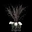 White prunus and peonies