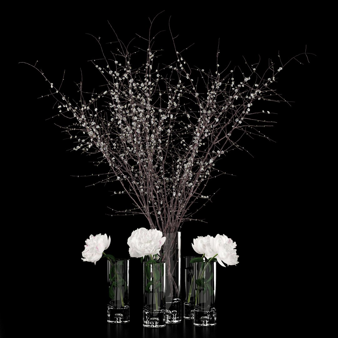 3D realistic white peonies prunus model https://p.turbosquid.com/ts-thumb/Q1/wHIXmr/AKKljk0n/3/jpg/1533722076/1920x1080/fit_q87/80aacf41c812acc1877e2428df8be0071ab3a96a/3.jpg