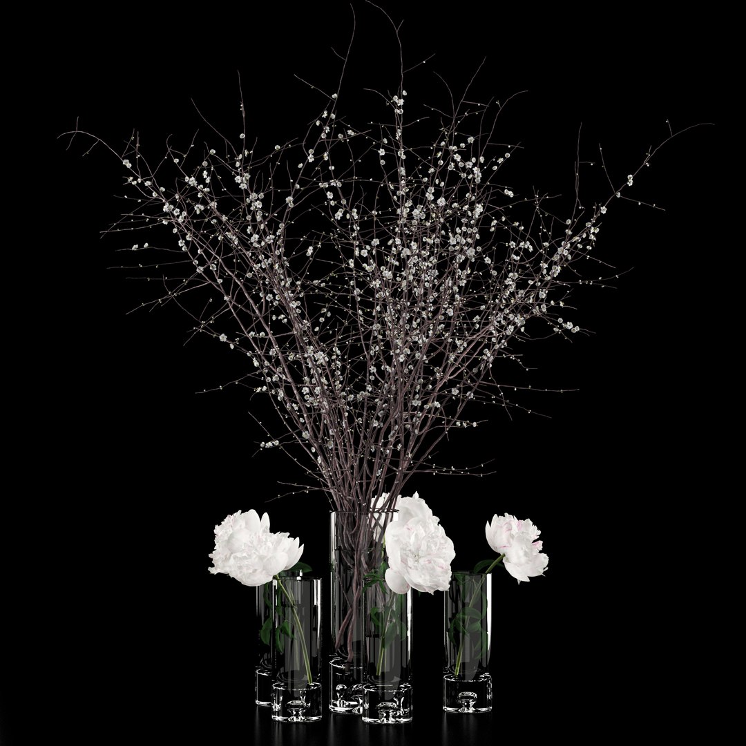 3D realistic white peonies prunus model https://p.turbosquid.com/ts-thumb/Q1/wHIXmr/KWNNz5oD/6/jpg/1533722198/1920x1080/fit_q87/9024ec3fb52cf4792cdeb25271071a5ed8e8b5ad/6.jpg