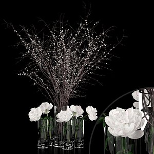 3D realistic white peonies prunus model