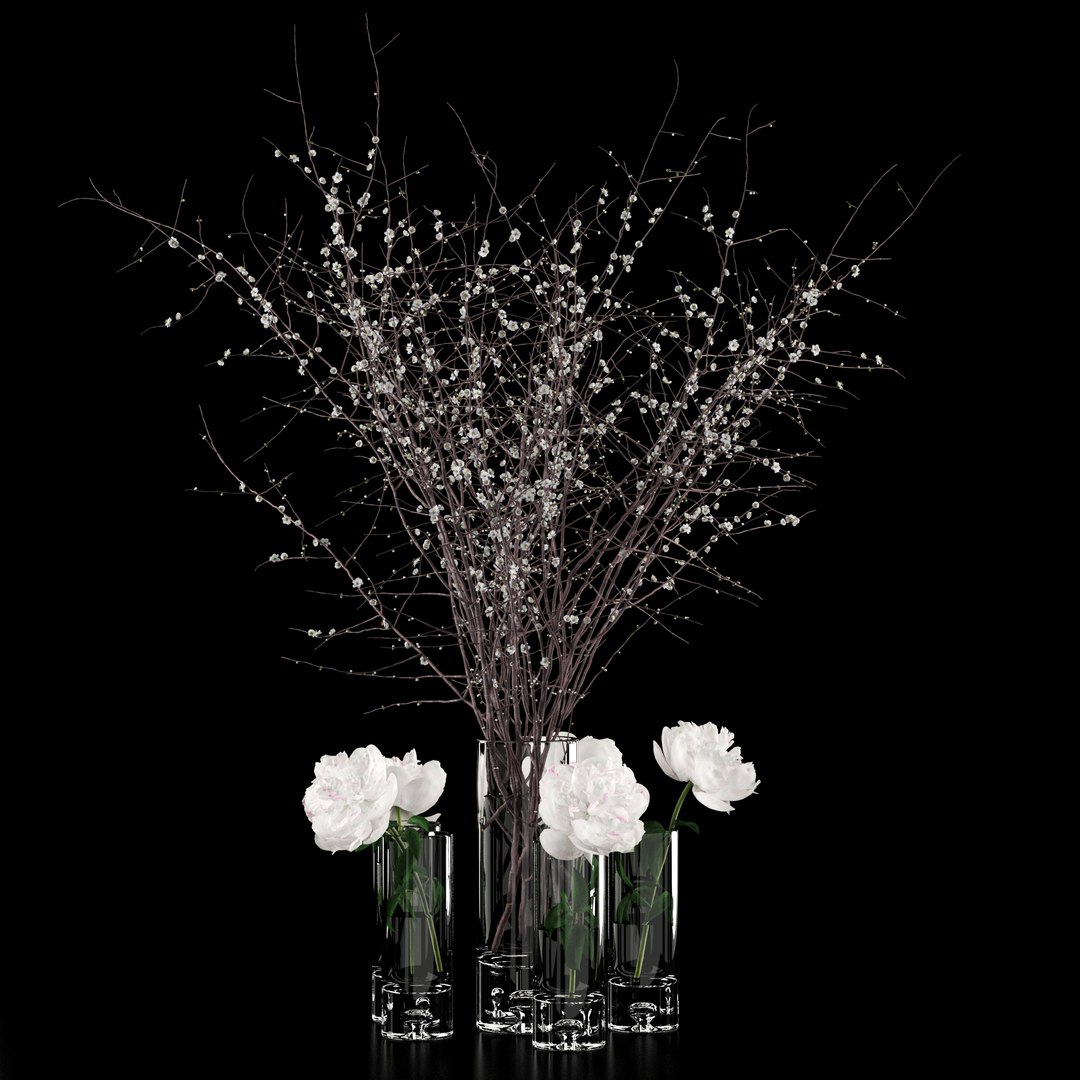 3D realistic white peonies prunus model https://p.turbosquid.com/ts-thumb/Q1/wHIXmr/b9LXciHk/5/jpg/1533722108/1920x1080/fit_q87/f8b3a7d6043701281f2c946964e3c4ef9ffe9eb0/5.jpg