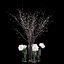 White prunus and peonies