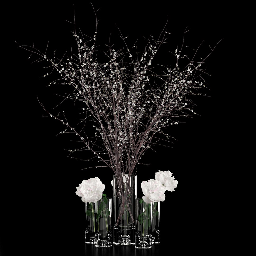 3D realistic white peonies prunus model https://p.turbosquid.com/ts-thumb/Q1/wHIXmr/dnltcFiH/4/jpg/1533722088/1920x1080/fit_q87/6e74d85575c9d0e53e1aff9ac6a23e016c90eb1d/4.jpg