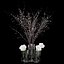 White prunus and peonies