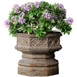 Decorative garden tree plant in Oriental Arabic vase flowerpot 3D model 3D