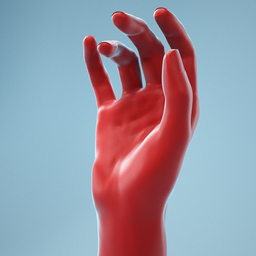 3D female hand model https://p.turbosquid.com/ts-thumb/Q2/QJDlkI/b6PzBb9n/050001/jpg/1569323804/1920x1080/fit_q87/c8939dcb3a823daad22a30c3529f0854d3973a10/050001.jpg