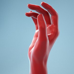 3D female hand model
