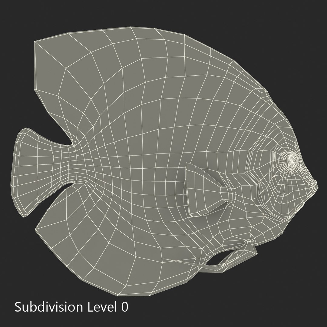 symphysodon fish pose 2 c4d https://p.turbosquid.com/ts-thumb/Q2/nGFudv/8LIT3fWp/symphysodonfish3dmodel20/jpg/1456171045/1920x1080/fit_q87/ed8774665454acb07556d76353c74b1436b2057d/symphysodonfish3dmodel20.jpg