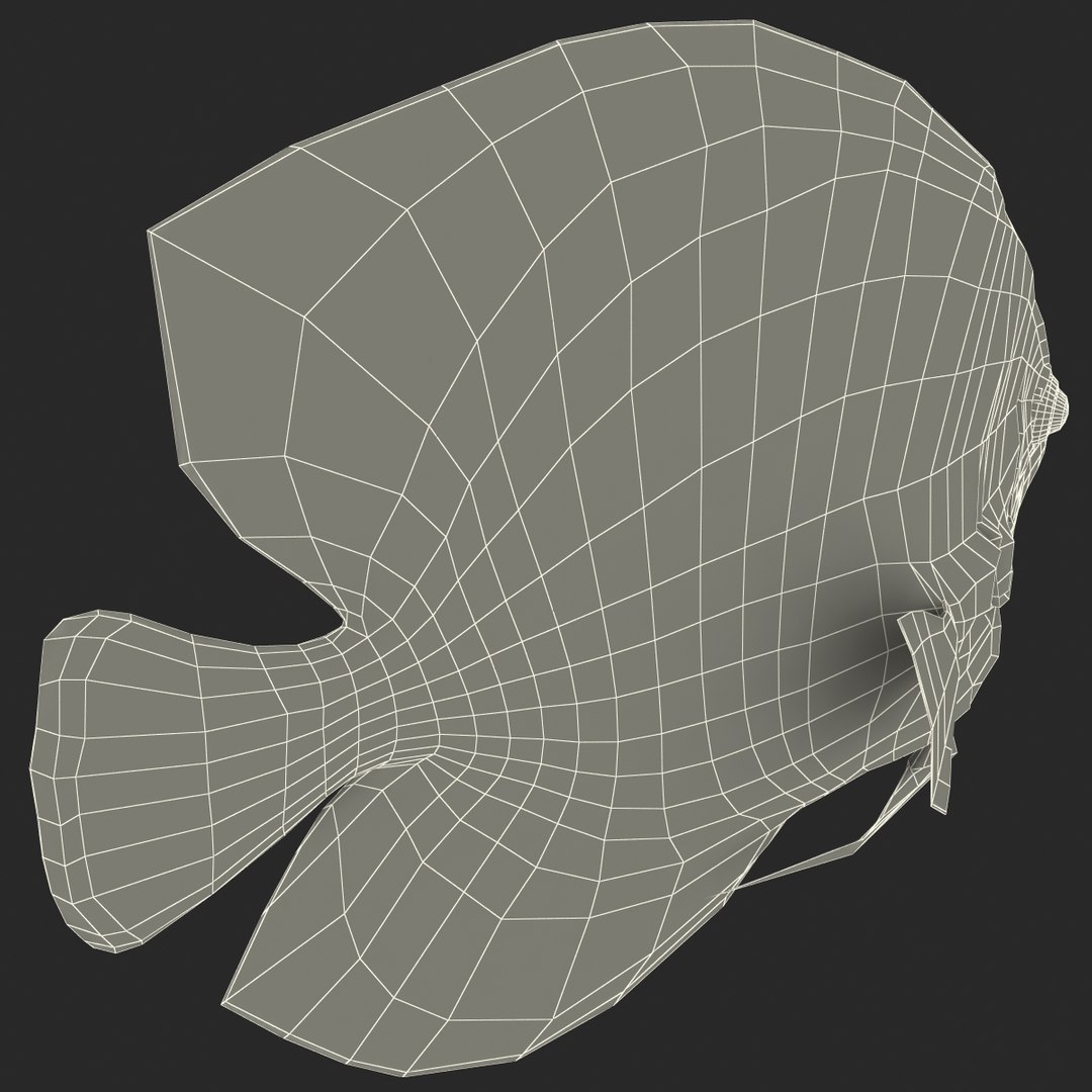 symphysodon fish pose 2 c4d https://p.turbosquid.com/ts-thumb/Q2/nGFudv/GEc81oLA/symphysodonfish3dmodel36/jpg/1456171046/1920x1080/fit_q87/a7542c7501a73bd432e028f818415669aaa785f4/symphysodonfish3dmodel36.jpg